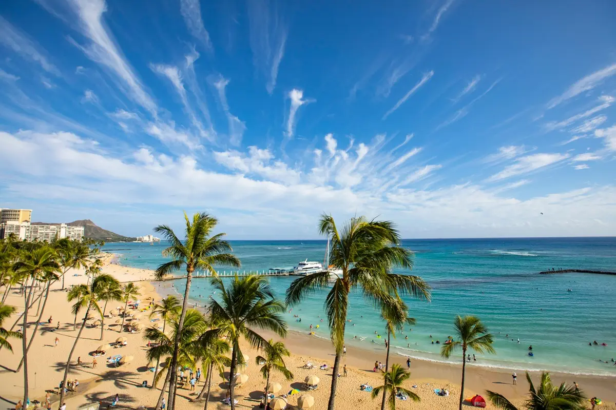 Idyllic tropical beach with palm trees, clear turquoise water, and a vibrant summer sky.