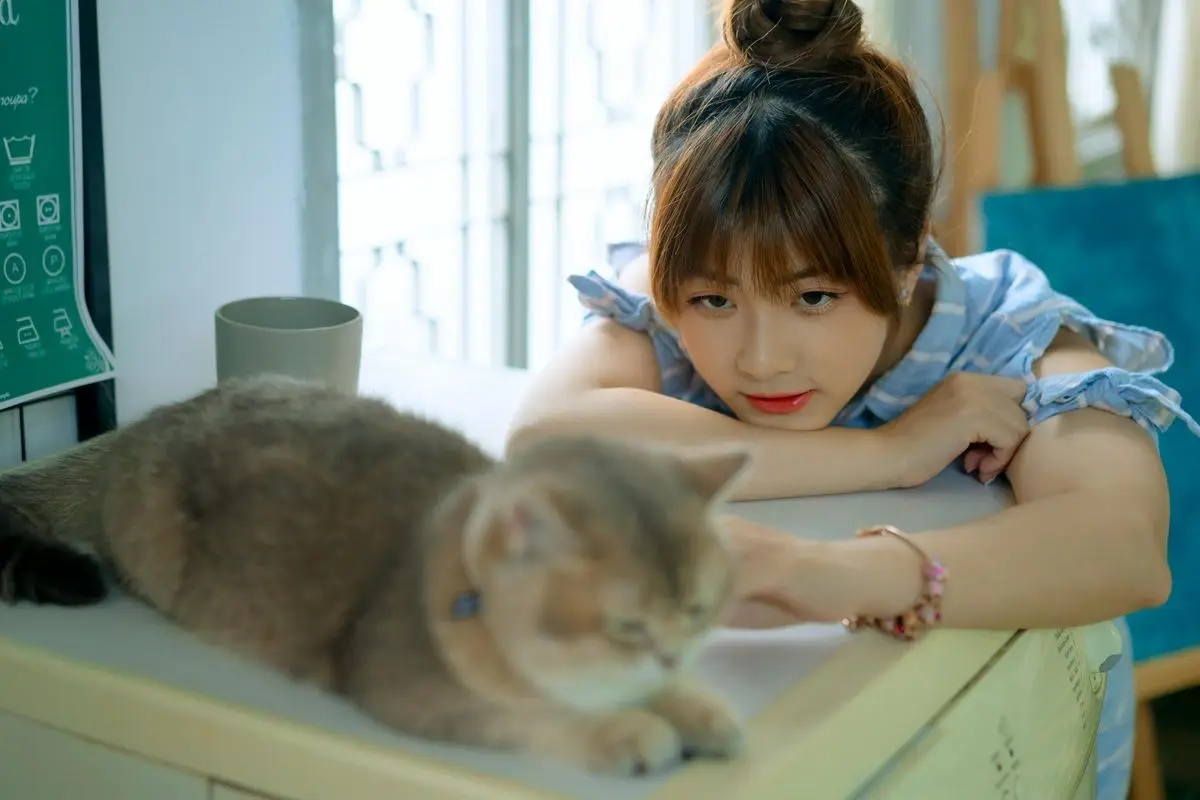 woman-touching-a-cat.jpg
