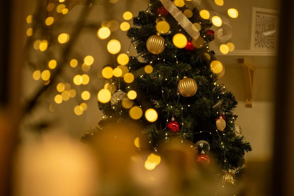 A lit Christmas tree inside a home.