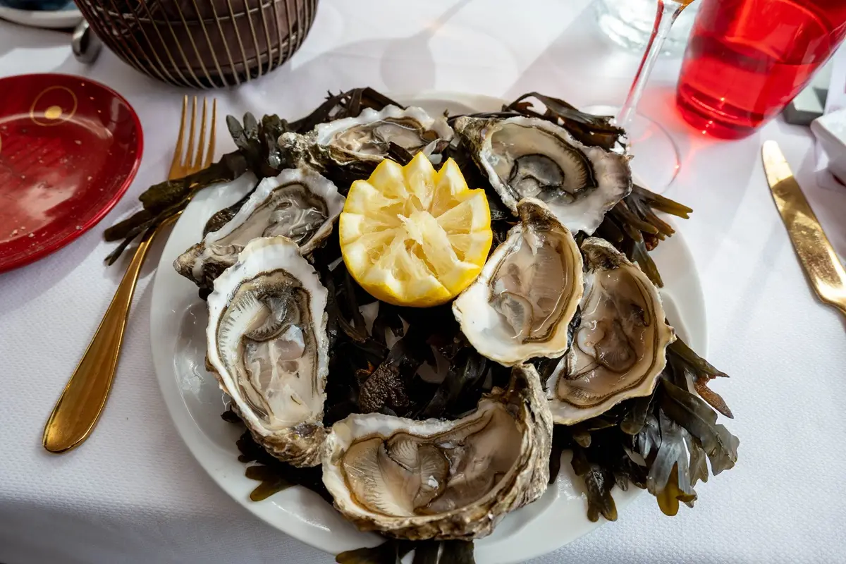 A delicious plate of fresh oysters with a slice of lemon, perfect for seafood lovers.