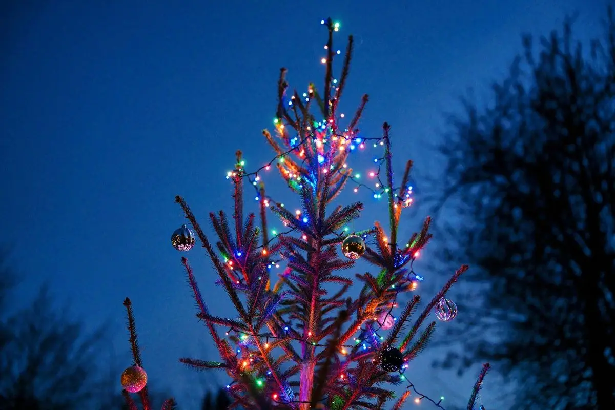 A lit up christmas tree in the middle of the night.