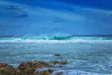 World Oceans Day