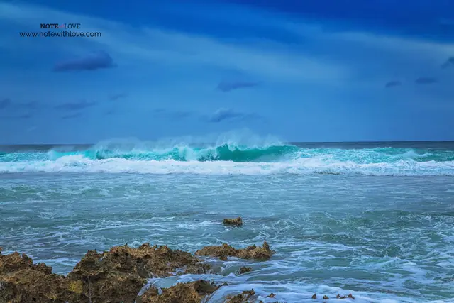 World Oceans Day