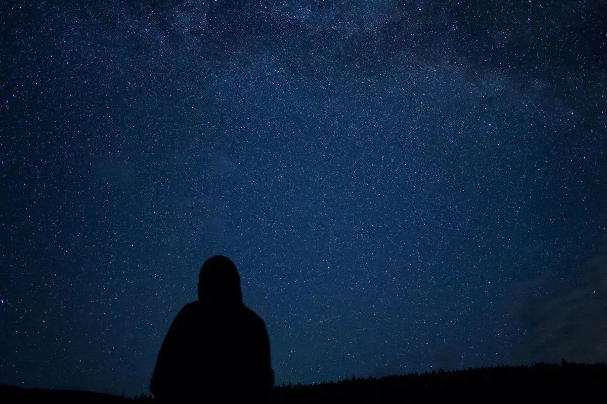 A silhouette of a person looking at the sky.