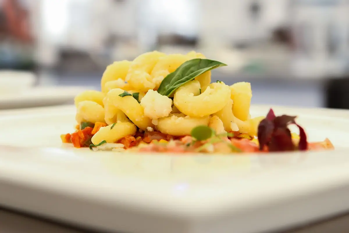 Macaroni pasta garnished with basil and vegetables, presented elegantly.