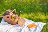 National Picnic Day