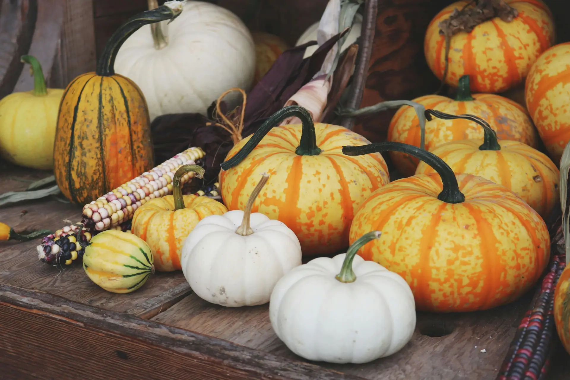 Different types of pumpkins with different colors are placed on a wooden table. There are orange, yellow, and white pumpkings.