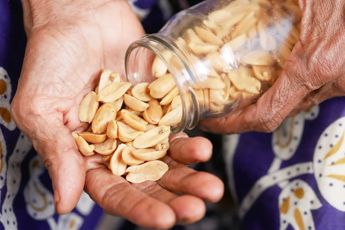  Elderly hands pouring roasted peanuts from a glass jar into a palm.