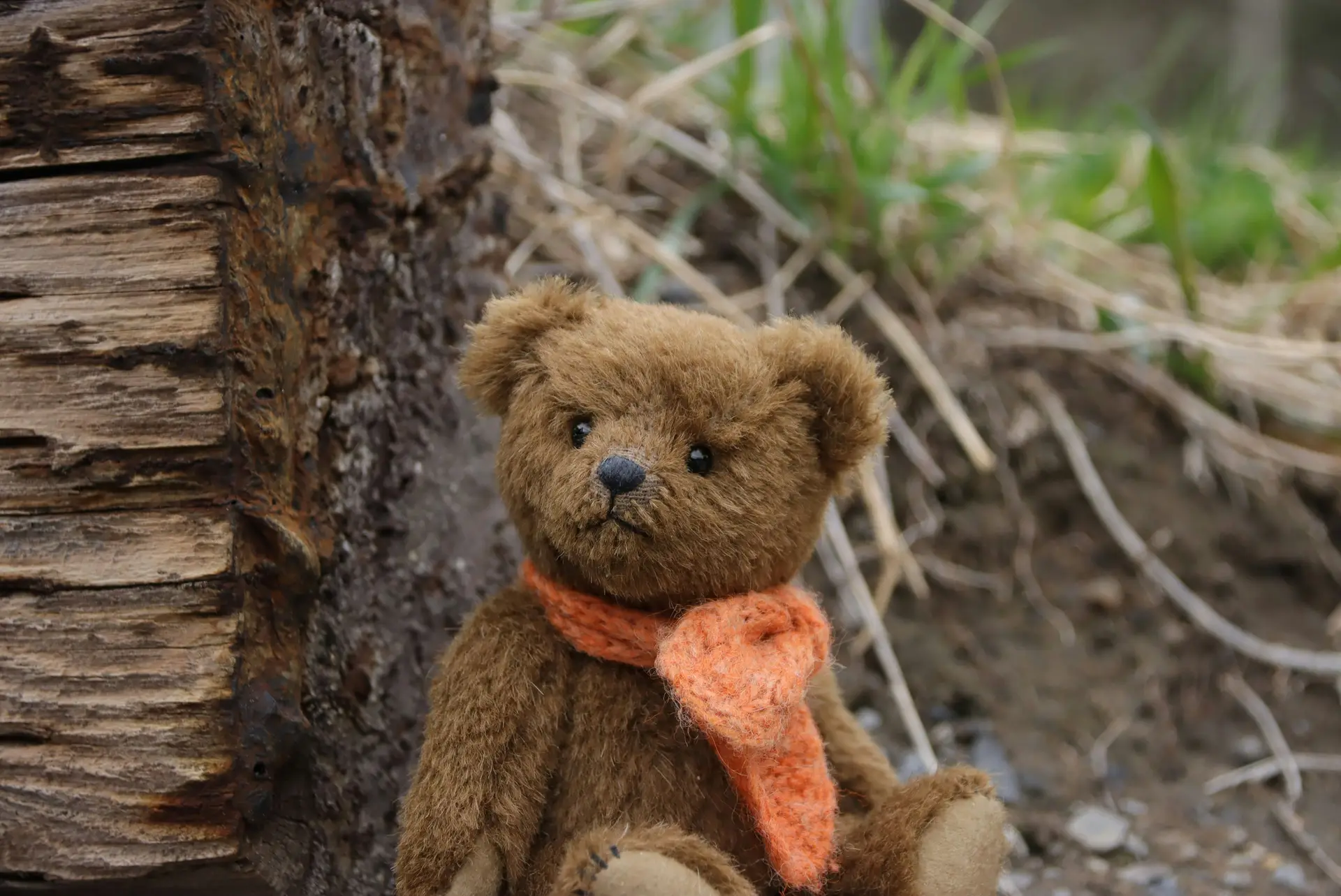 A brown teddy bear with a orange scarf sitting near a tree stump outdoors.