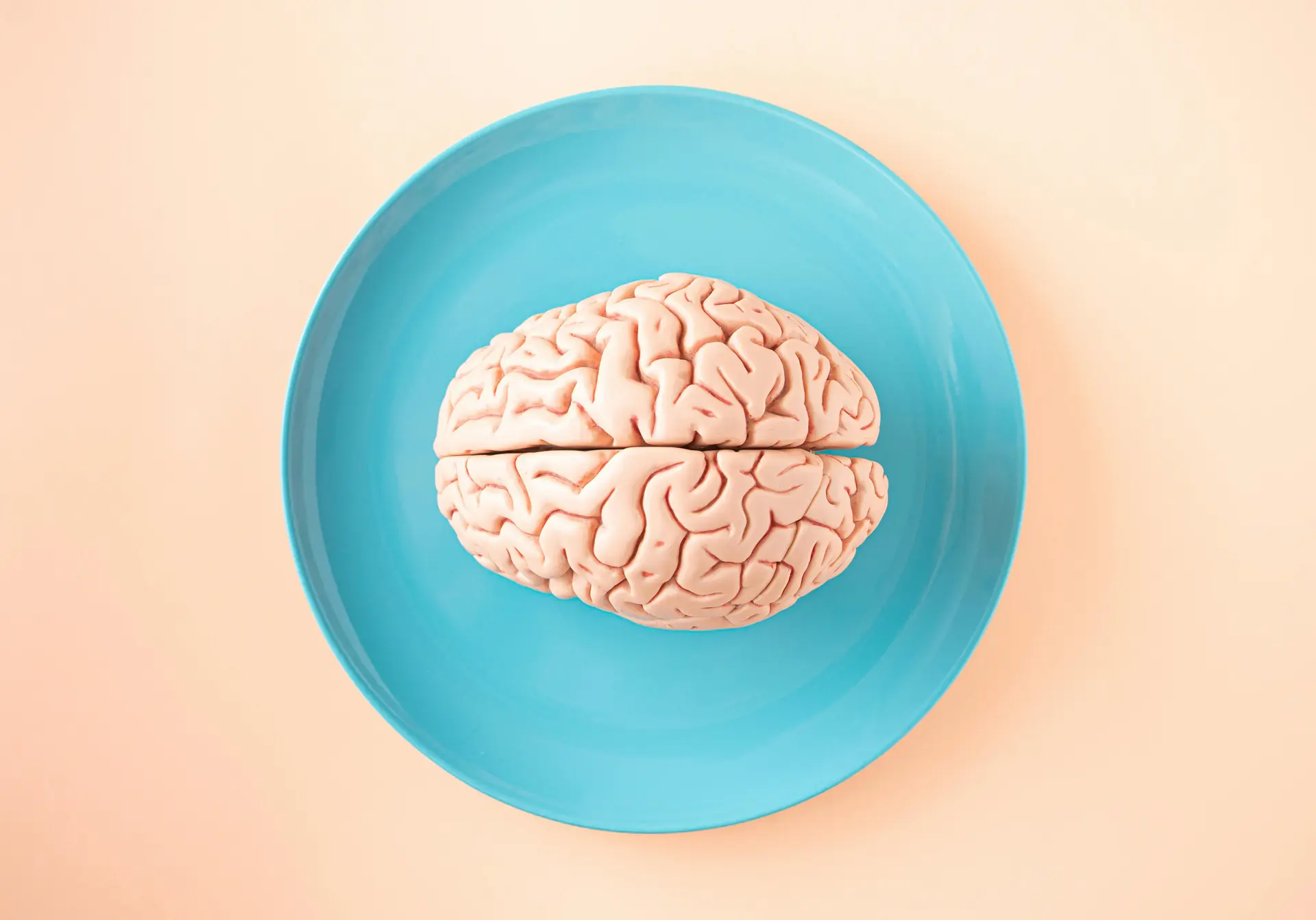 Brain model on blue plate on display for World Brain Day.