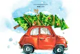 Look For An Evergreen Day: Finding Magic In Christmas Tree