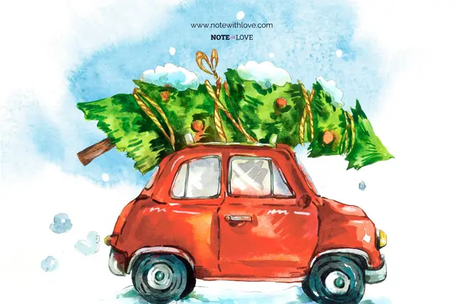 Look For An Evergreen Day: Finding Magic In Christmas Tree