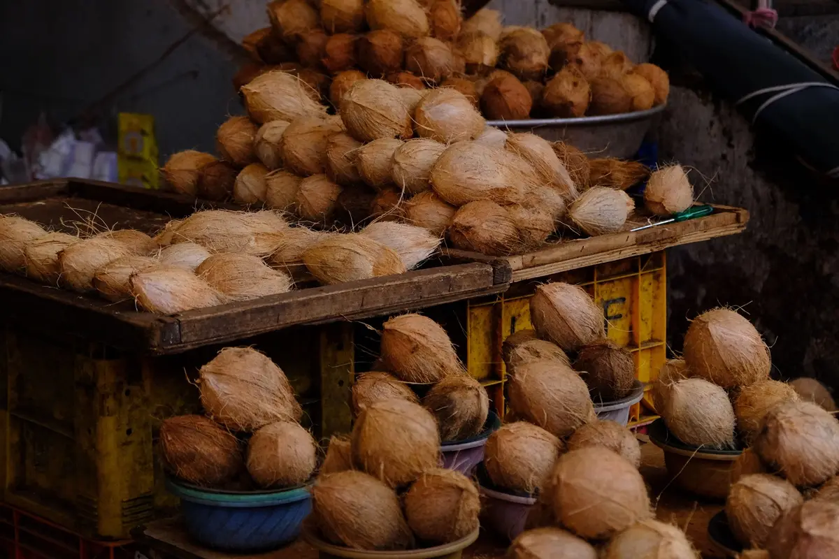 Fresh coconuts stacked in a Bengaluru market, showcasing local trade and produce.
