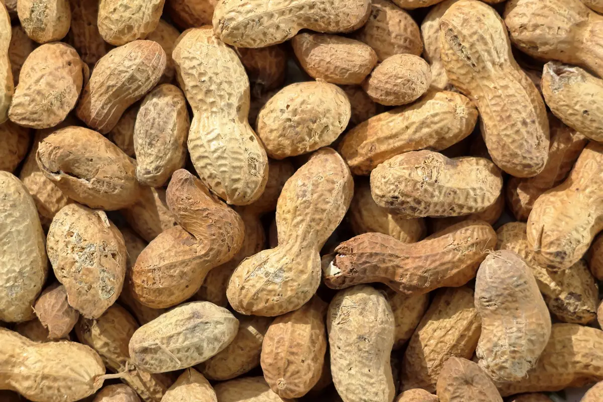 unshelled peanuts, highlighting their textures and natural brown colors.