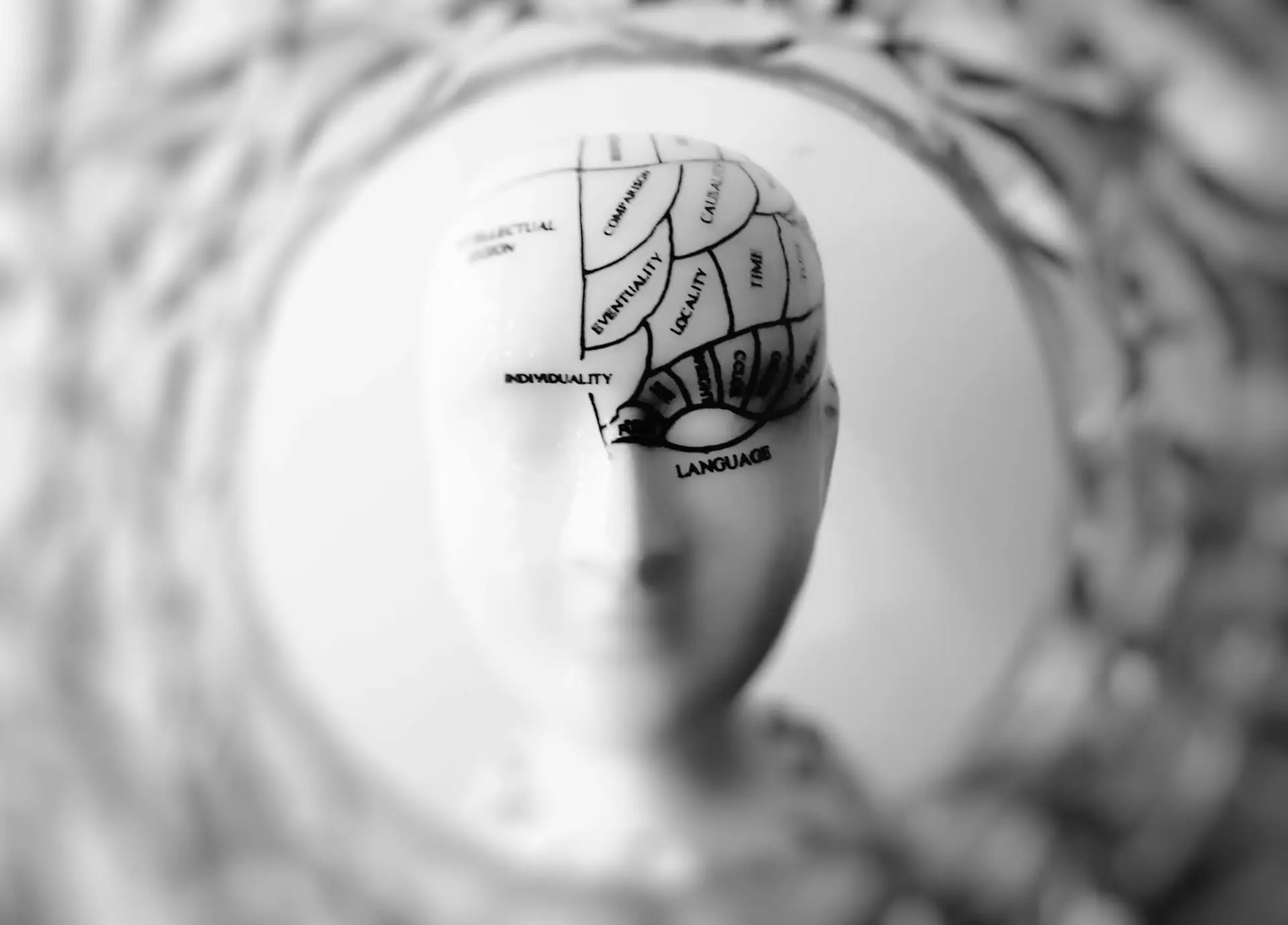 Different segments of brain marked on a 3D model of human head.