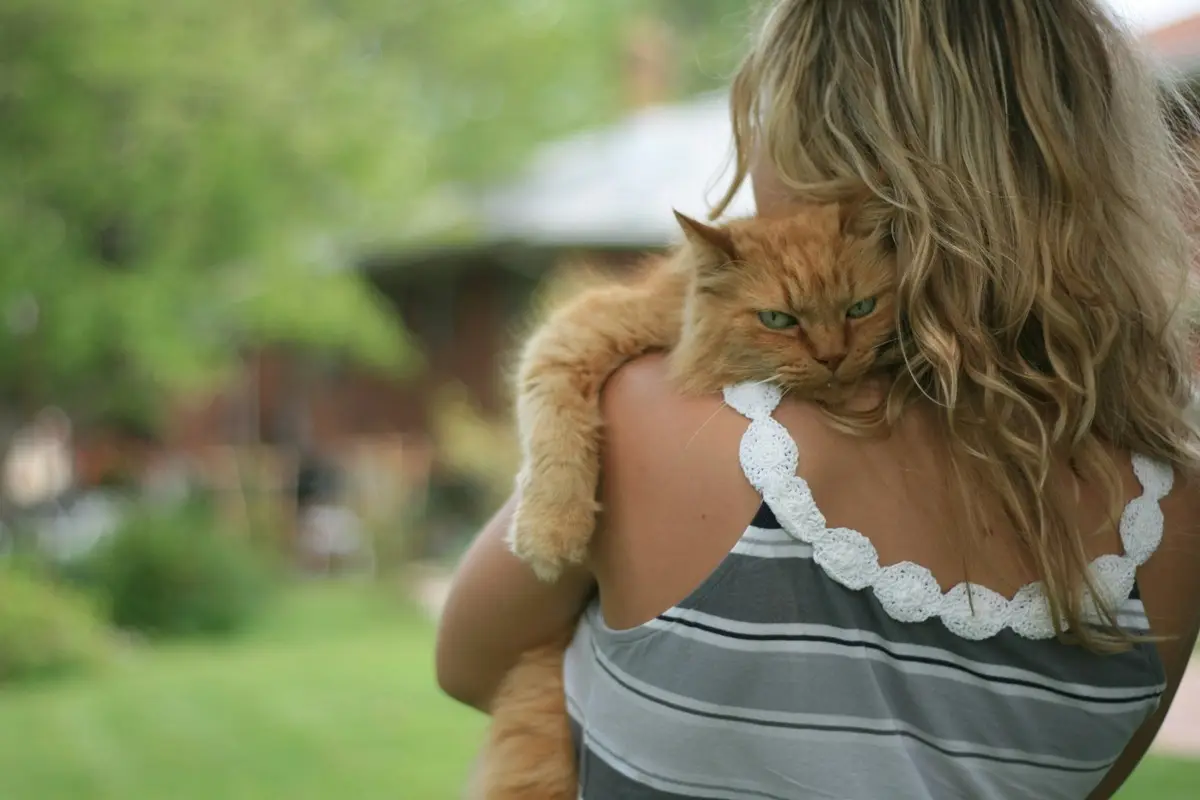 A person hugging a orange cat.