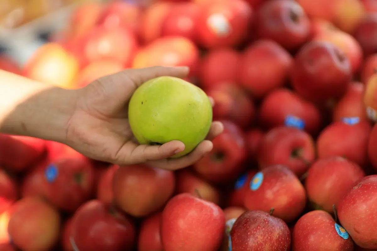A hand holding a green apple surrounded by red apples at a market.
