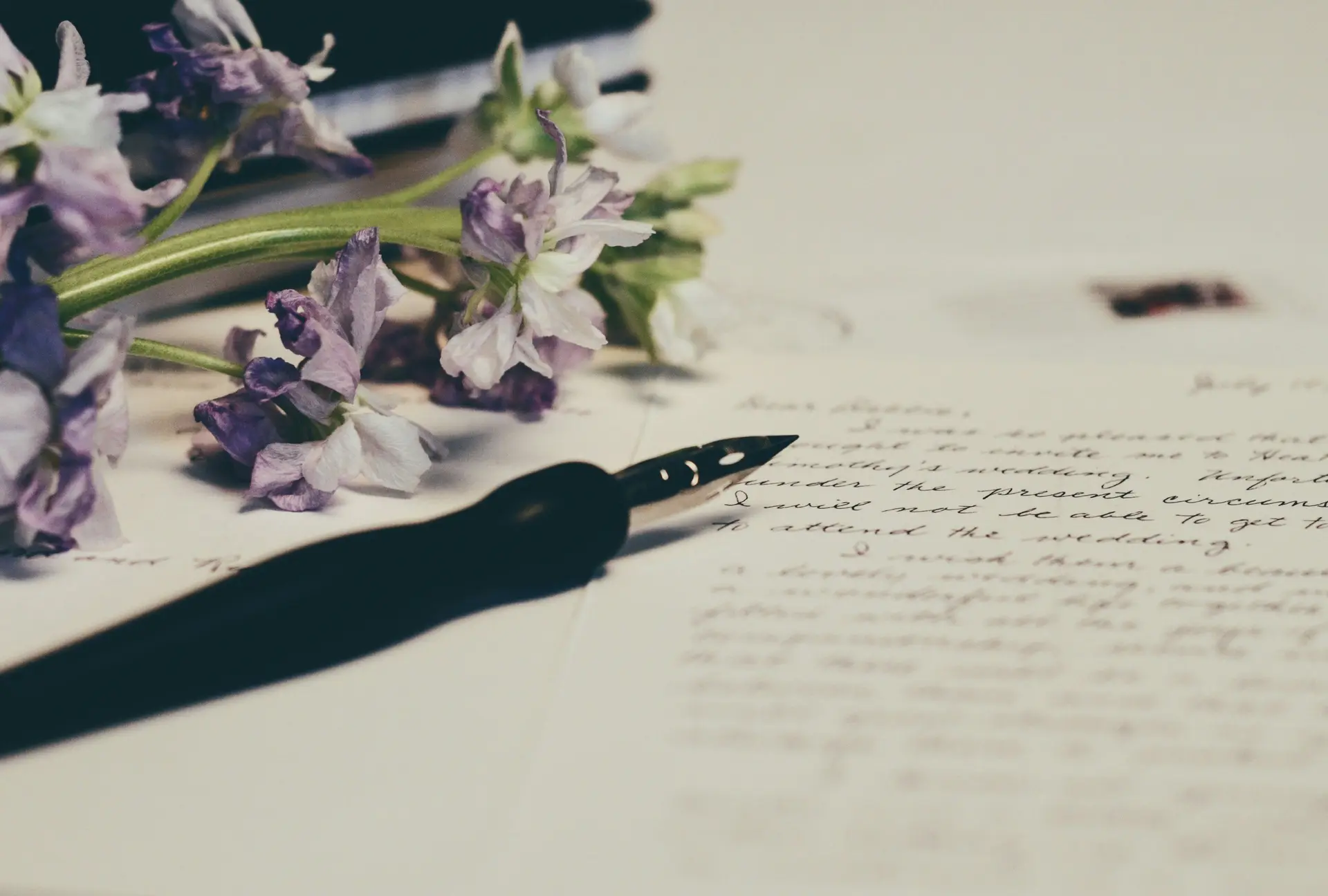 A written letter with a pen and some purple flower on it.