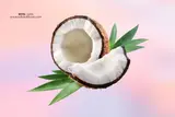 World Coconut Day