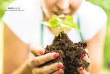 International Plant Appreciation Day