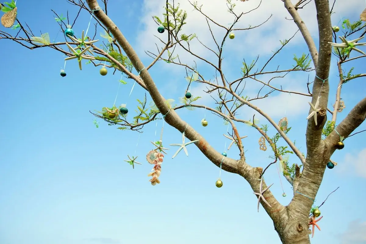 A tree is decorated with different types and colors of baubles.