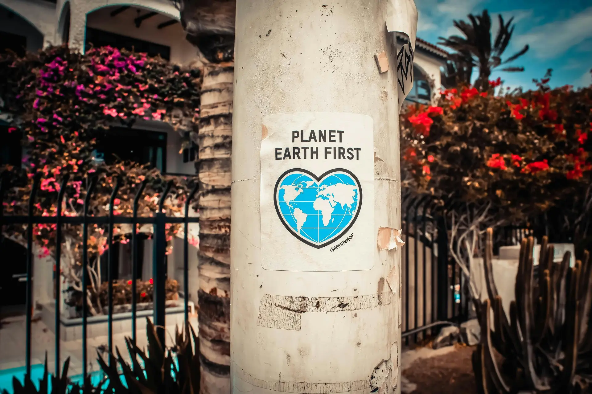 Planet Earth First Poster On A Concrete Post. It says 'Planet Earth First
