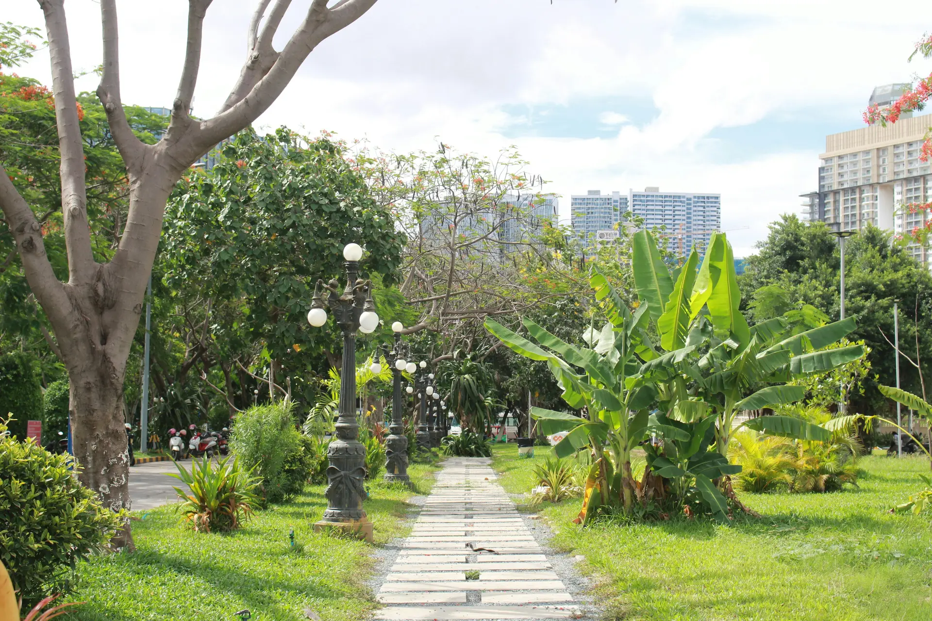 Public garden has a path with trees and plants on the side.