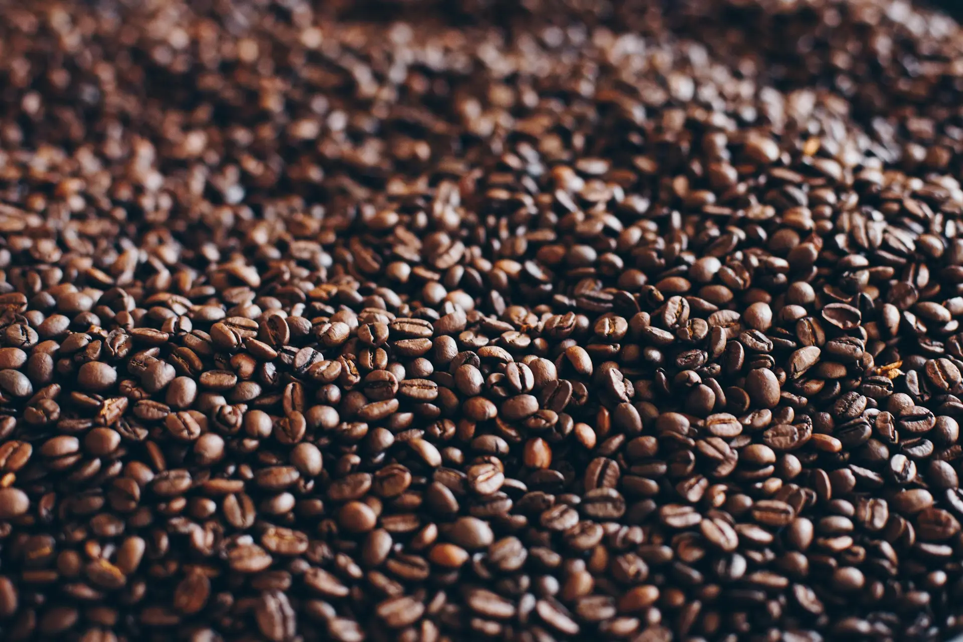A pile of coffee bean.