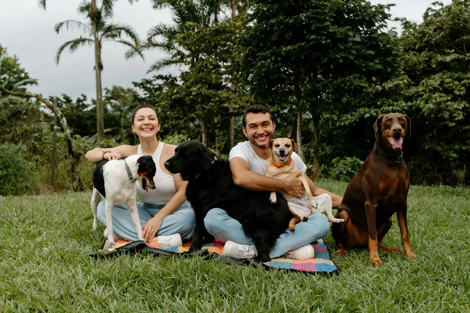 Couple playing with their four dogs in the park.