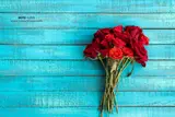 Rose Day: A Beautiful Start to Valentine’s Week