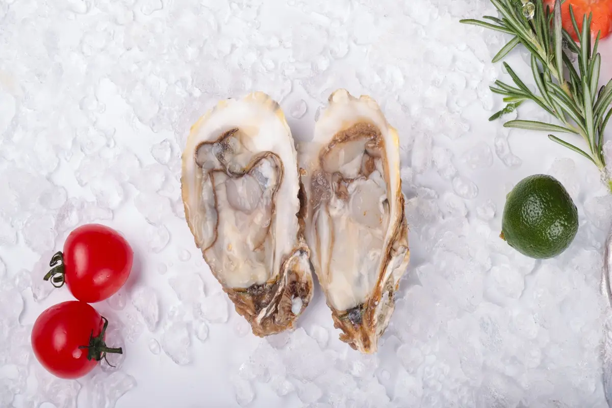 Fresh oysters, cherry tomatoes, and lime on ice, perfect for seafood lovers.
