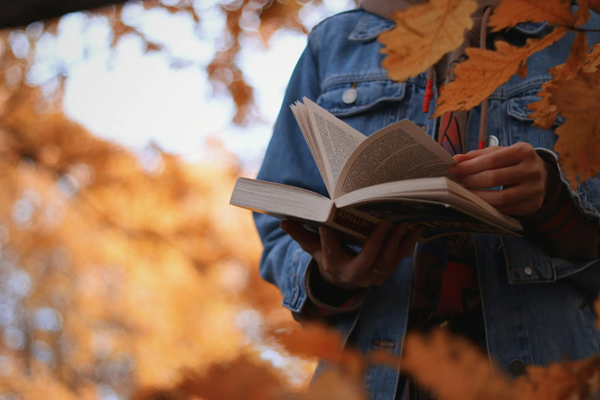 Person reading book in the park. Brown leaves hides their face.