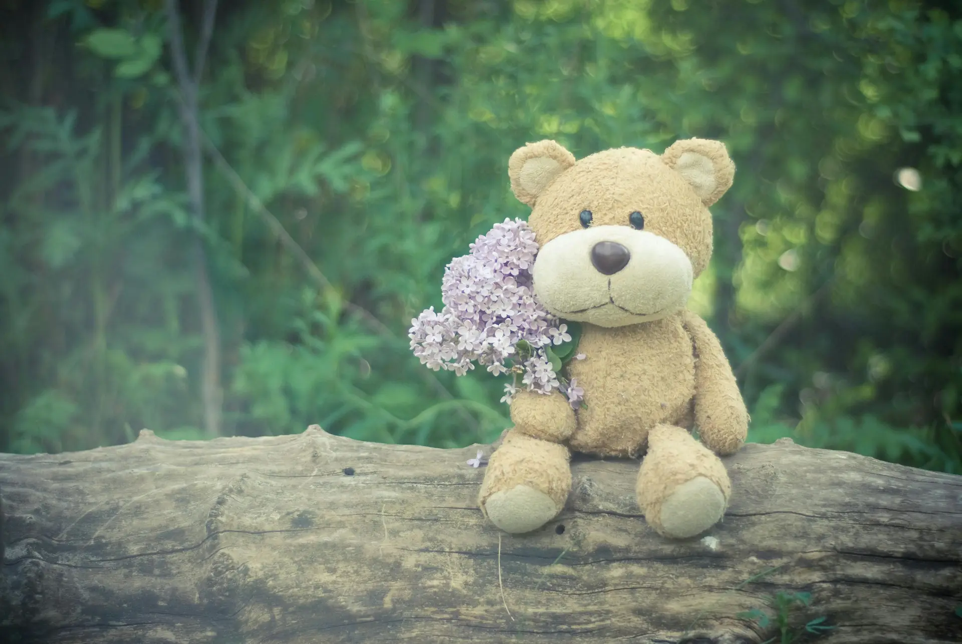 A brown teddy bear sitting on a tree branch holidng some flowers.