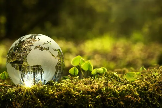 World Environment Day