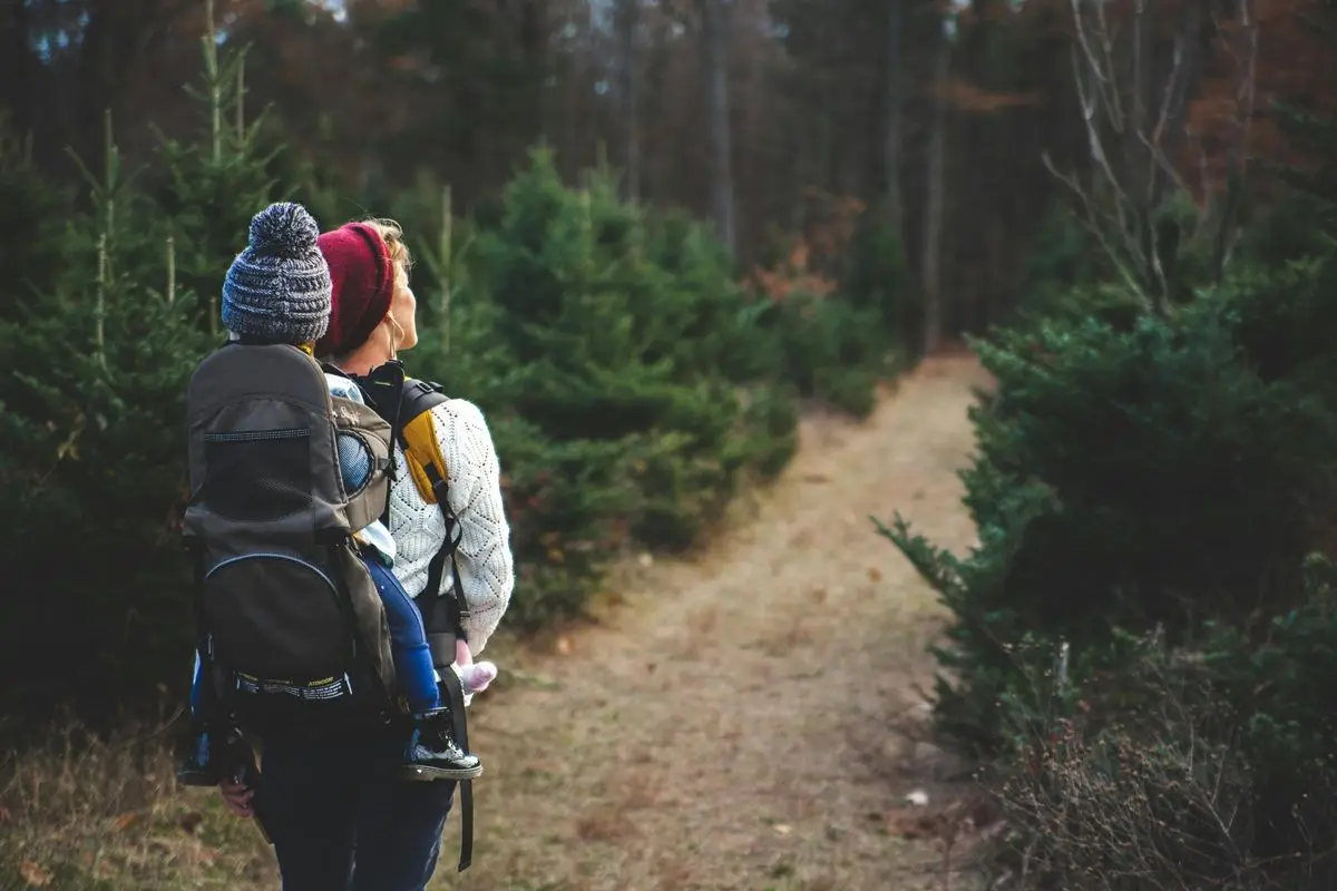 A person walking a mountain trail with a kid in their backpack.