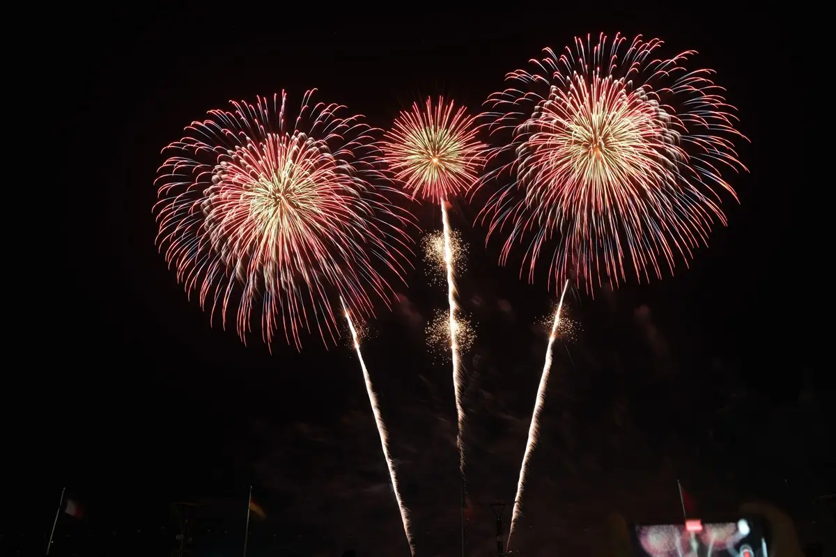 Dazzling fireworks burst in the night sky, showcasing a vibrant celebration with colorful explosions.