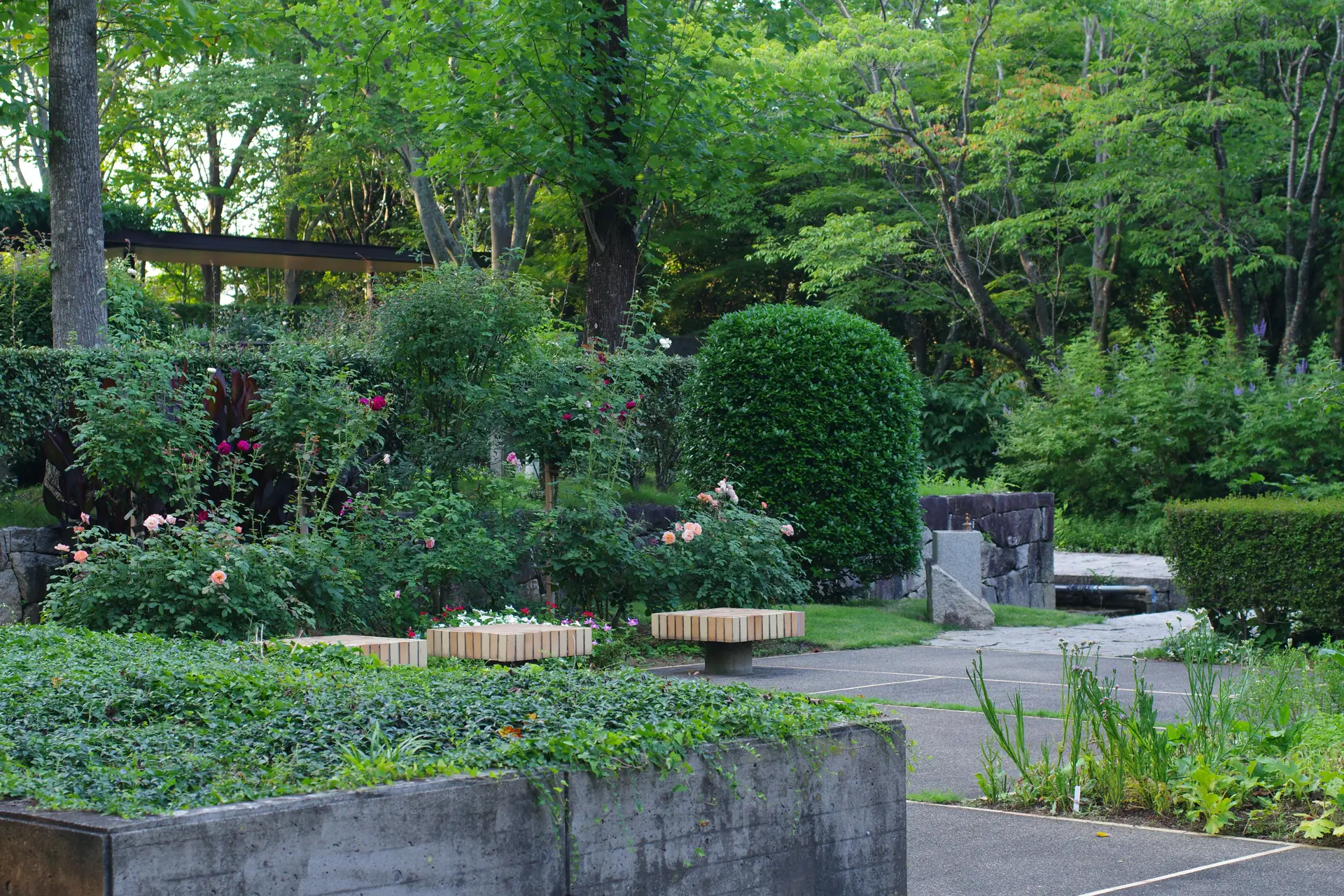A public garden with a lot of trees and bushes.
