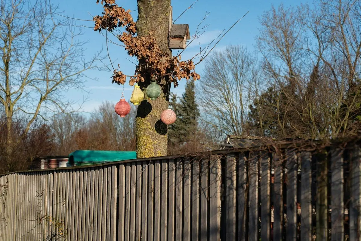 A tree is decorated with paper lantreens of various colors.