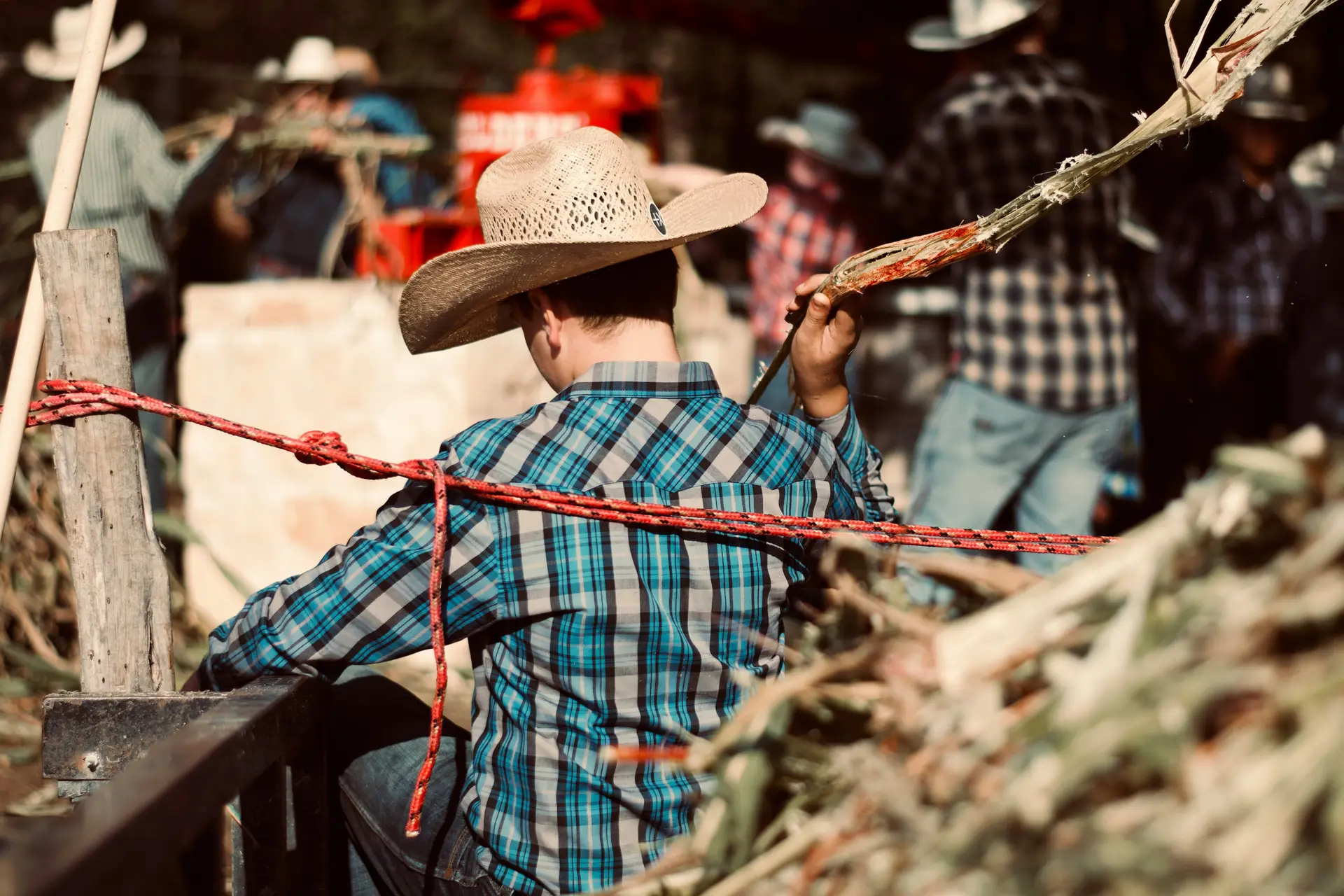 American cowboy working on a farm. Other cowboys can be seen in the background.