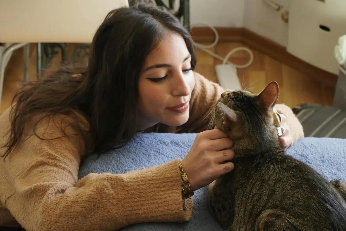 A woman petting a cute cat.