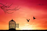 Know What Freedom Means On National Freedom Day