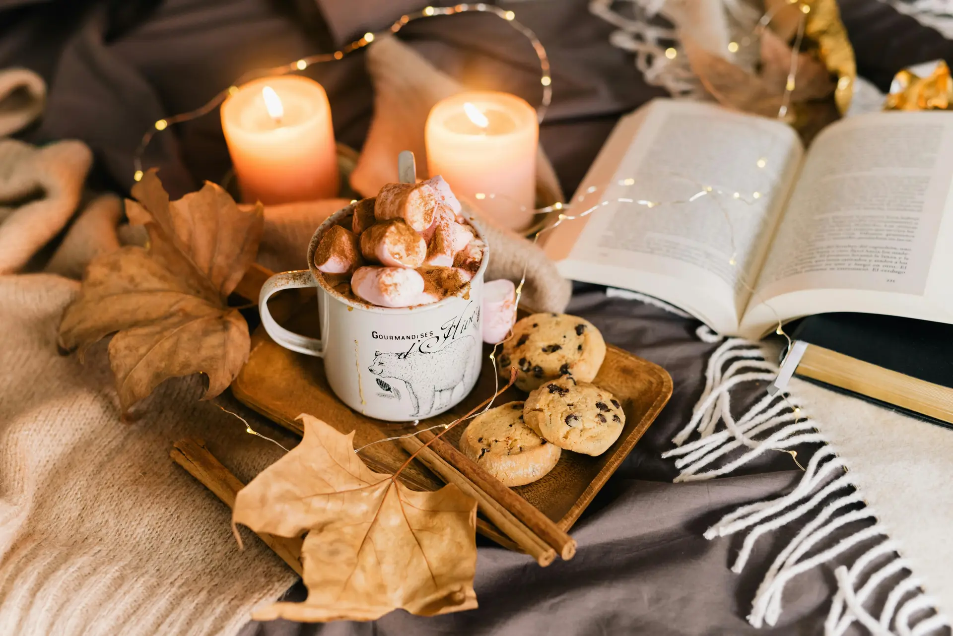 A cup of hot cocoa topped with marshmallows and cinnamon powder. There are books, candles, cookies, and leaves near it.