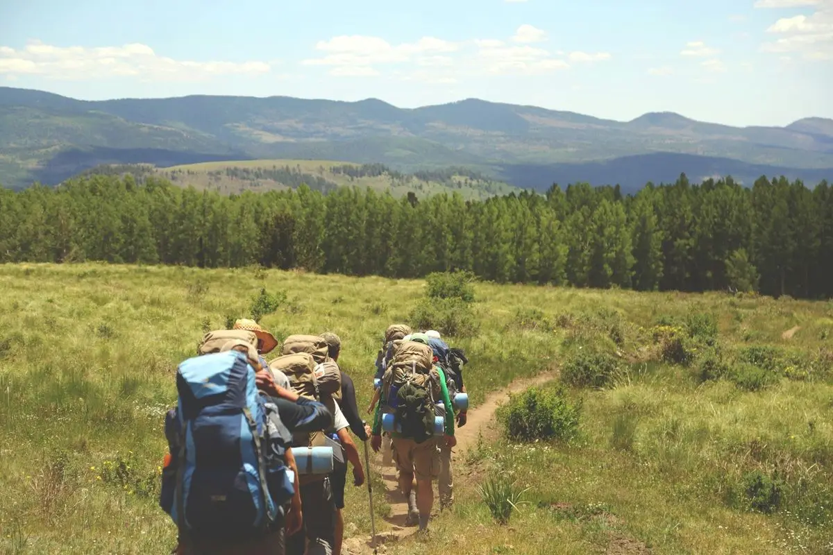 A group of walking towards a forest while the mountain can be seen in the distance.