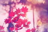 First Day of Autumn