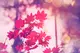 First Day of Autumn