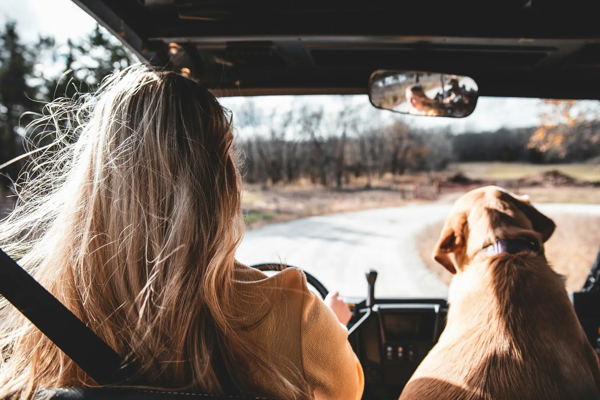 A women on a road trip with her dog.