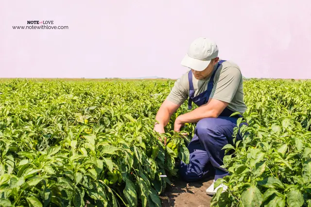 Farmworker Appreciation Day