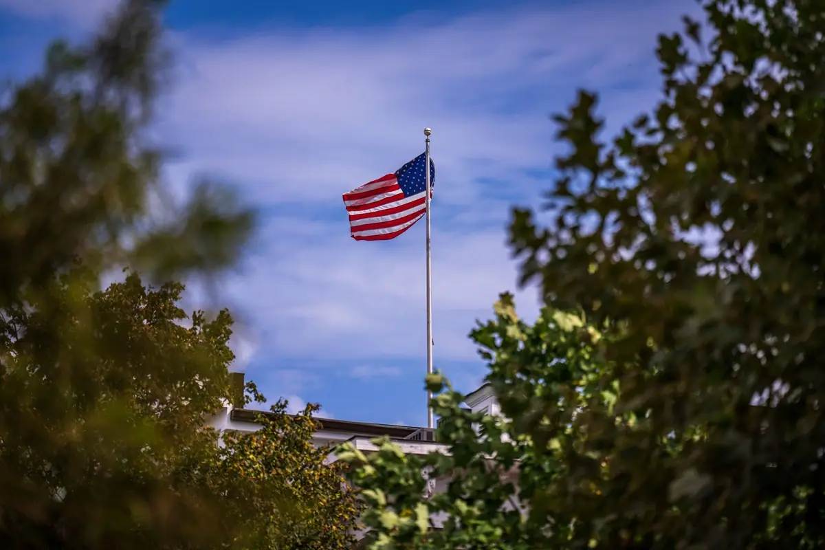 American flag on a flagpole framed by green trees against a clear blue sky, symbolizing patriotism.