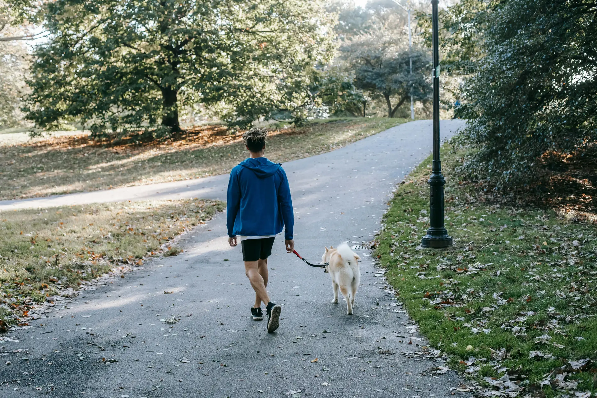A man walking in the park with his pet dog.