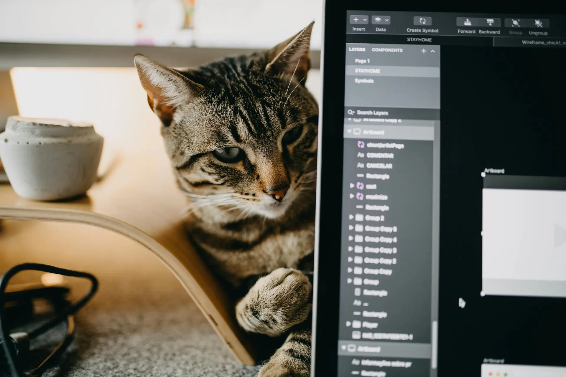 A cat laying near a laptop.